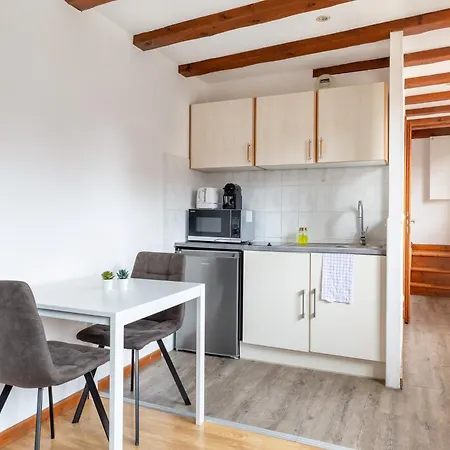 Travel Homes - Tanneur 6, Heart Of Petite Venise アパート コルマール