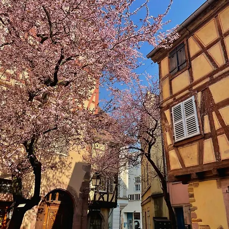 Travel Homes - Tanneur 6, Heart Of Petite Venise * コルマール